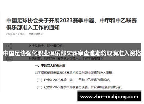 中国足协强化职业俱乐部欠薪审查逾期将取消准入资格 中国足协强化职业俱乐部欠薪审查逾期将取消准入资格